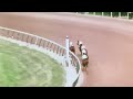Secretariat - Triple Crown Races - High Quality (Rare Footage)