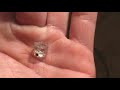 Digging North Carolina Fluorite | Dendrite Quartz Crystals| Gem  Hunting  | Part 2 |