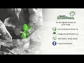 Agro Forestry | Tree-Based Farming | Trees for Life | Project GreenHands