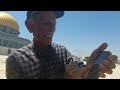 Interview outside Al Aqsa Mosque