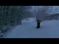 Magic Hike at Blue Hour in Snowy Forest | Virtual Hiking, Winter Relaxation, StressRelief