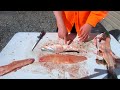 HOW TO Clean a LAKE TROUT!!! (Quick & Easy Boneless Fillet!)