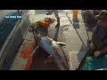 Amazing Fastest Giant Bluefin Tuna and Swordfish Fishing skill - Most Satisfying Sea Fishing Videos