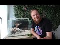 I made a BONSAI tree for my aquarium! Aquascape tutorial.