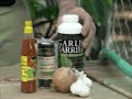 Jerry Baker's Year Round Vegetable Gardening Summer Insect & Disease Control