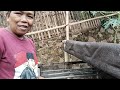 Proses Pengeringan kopi Elgeha Desa Jatisari Cangkuang