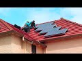 The How, When and Why To Bird Proofing Your Solar Panels Professionally - All One Solar Shine