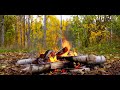 Autumn Ambience - Relaxing Campfire & Nature Sounds | 4K Ultra HD