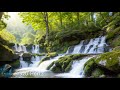 #4K Relaxing Waterfall Views with 432 Hz Music for Meditation 森林瀑布的放鬆影像搭配432 Hz冥想音樂