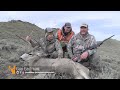 Double Up in Montana! Mule Deer Hunting with Guy Eastman