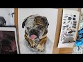 Bentley the British Bulldog - Painting process in watercolour