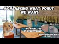 CAT MEMES: FAMILY VACATION COMPILATION TO INDONESIA + EXTRA SCENES