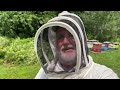 Adding honey supers to single brood chamber hives