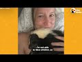 Woman Takes In Injured Little Skunk And Raises Him As Her Baby | The Dodo