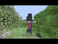 MY HOUSE!!??!?!!?!! Minecraft Trolling & Griefing
