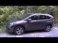 How to catch a marten, marder -successful trap - protect your car and home
