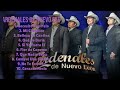 Entre Copa y Copa-Cardenales De Nuevo León-Essential songs for every playlist-Approved