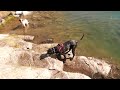 Dog gets a cold bath in the lake