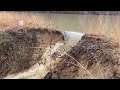 Large pond dam breach causes water surge down stream