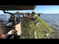 Catching Maryland Blue Crabs on a Real Commercial Work Boat!