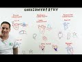 Cardiomyopathy | Clinical Medicine