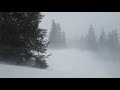 Epic Snowstorm Howling Blizzard Sounds Heavy Wind & Snow Perfect Sounds For Sleep