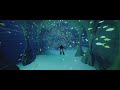 ABZU - Relaxing Full Playthrough - 21:9 3440x1440 60fps PC Gameplay