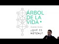 clase árbol de la vida 2