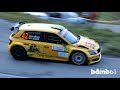 ACI Rally Monza 2021 - Flat out, mistakes and crash.