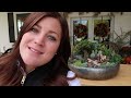 Succulent Treehouse Fairy Garden! 🌵🧚‍♀️// Garden Answer