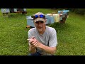 Small Hive Beetle Tips & Tricks / Hive Beetle Management
