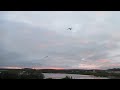 Crazy, Hitchcock-ian attach birds after midnight, Iceland