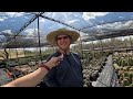 Desert Botanical Garden Nursery Tour with Kenny Zelov | Exclusive Preview of the Spring Plant Sale