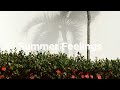Summer Feelings 🌴Chill Songs for Relaxation