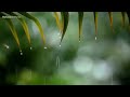 Relaxing Piano Music & rain Sounds 24/7 // Ideal for Stress Relief and Healing