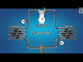 What is Superheat and Subcooling | Animation |#superheat #subcooling #hvac #chiller #thermodynamics