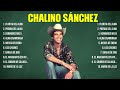 Top Hits Chalino Sánchez 2024 ~ Mejor E r o s R a m a z z o t t i lista de reprodu