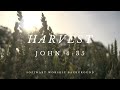 Harvest (John 4:35)