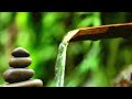 Beautiful Relaxing Music Bamboo Fountain Peaceful Piano 🍃 Water Sounds Calm Zen  音楽をリラックス バンブーウォーター