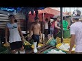 EPS. 23 NA PAMIMILI TUNA ONE FIFTY KILO|MARKET 3 NAVOTAS FISHPORT