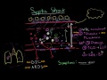 Septic shock - pathophysiology and symptoms | NCLEX-RN | Khan Academy