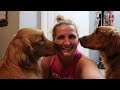 Day In The Life with 2 Golden Retrievers as a Working Dog Mom | DITL