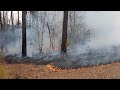 Prescribed fire