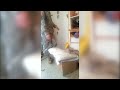 Soldier Welcomed Home by Excited Cat - Aww