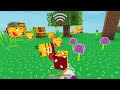 Minecraft using with different internet compilation