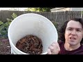 I Made An Easy To Build Inexpensive DIY Worm Bin Vermicomposter For Beginners