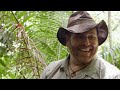 Finding El Dorado Ruins in a Dangerous Jungle | Expedition Unknown