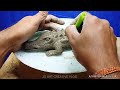 Easy to make a crocodile with clay | Mitti se magarmach banana | clay art animals
