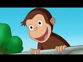 Curious George 🐵George The Grocer 🐵 Kids Cartoon 🐵 Kids Movies | Videos For Kids