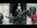 SHE GOT TOO CLOSE THEN THIS HAPPENED! ⚠️🐎 | Horse Guards, Royal guard, Kings Guard, Horse